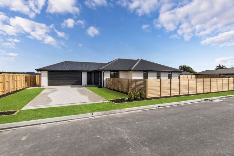 Photo of property in 3 Meadow Lane, Tinwald, 7774