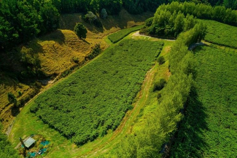 Photo of property in 866 No 2 Road, Te Ranga, Te Puke, 3182