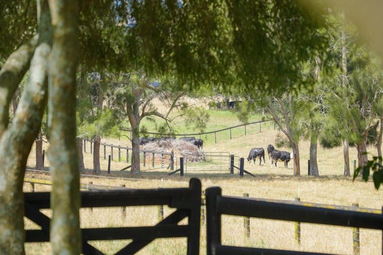 Photo of property in 65 Ernest George Drive, Karaka, Papakura, 2580