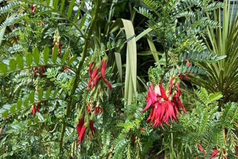 Photo of property in 72 Toi Toi Street, Toi Toi, Nelson, 7010