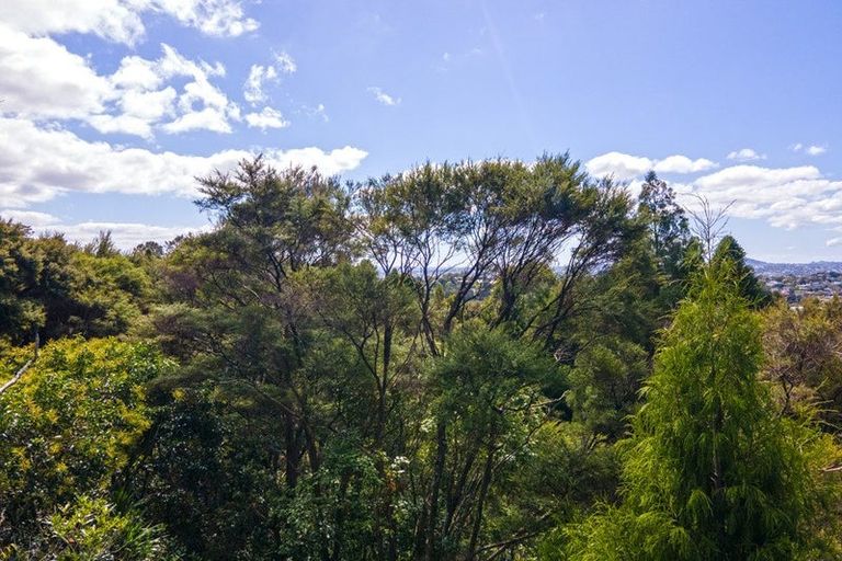 Photo of property in 213 Godley Road, Titirangi, Auckland, 0604