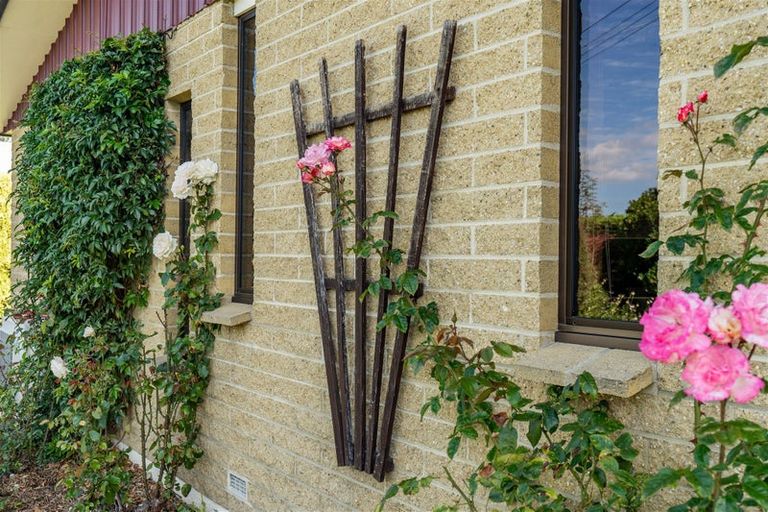 Photo of property in 15 Highgate, Milton, 9220