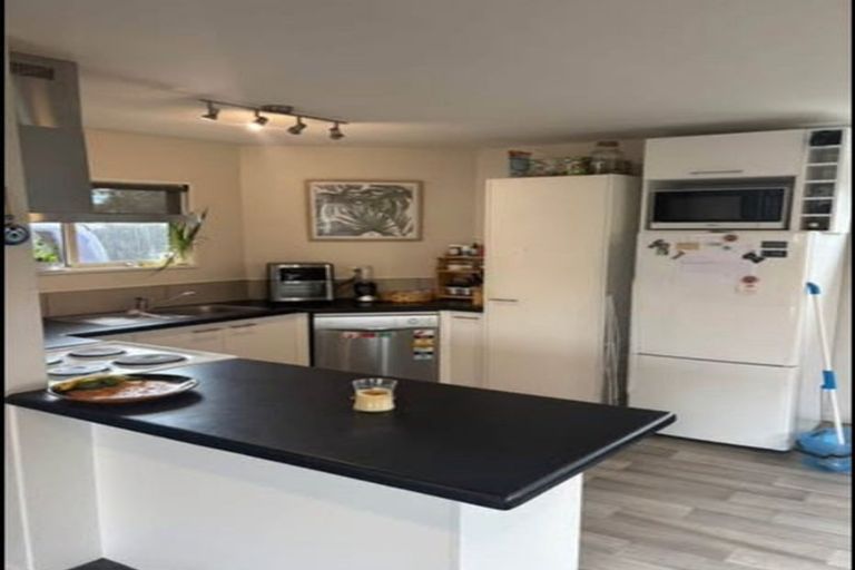 Photo of property in 76b Barbour Street, Waltham, Christchurch, 8011