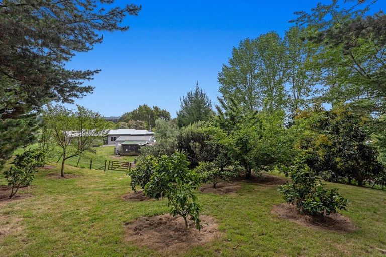 Photo of property in 133 Hogg Road, Rotoma, Whakatane, 3192