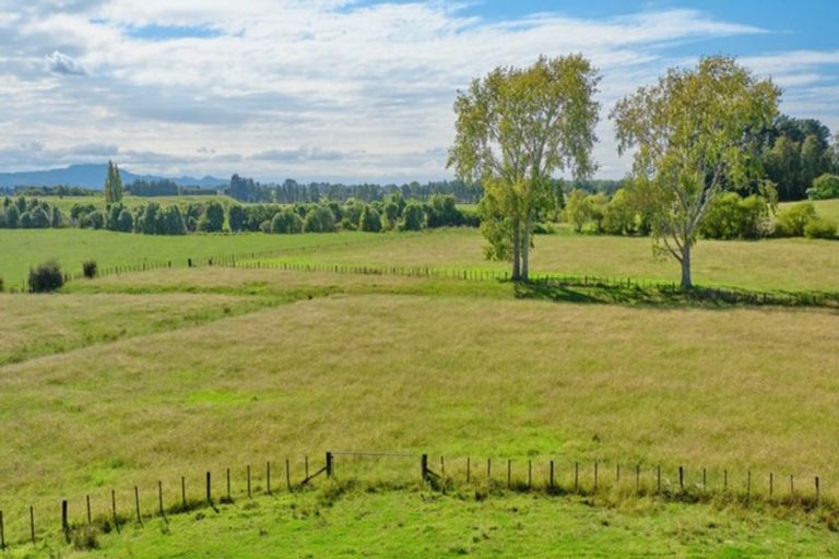 Photo of property in 159 Walker Road East, Aongatete, Katikati, 3178