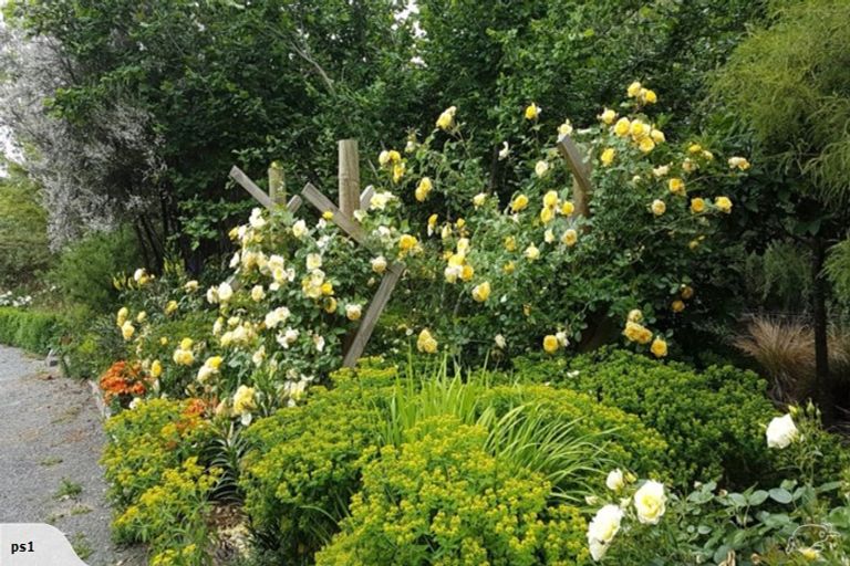 Photo of property in 801 Martinborough Masterton Road, Longbush, Masterton, 5884