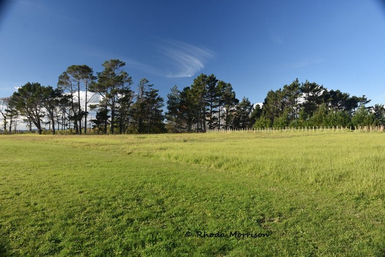 Photo of property in 986 Tinopai Road, Tinopai, Matakohe, 0593