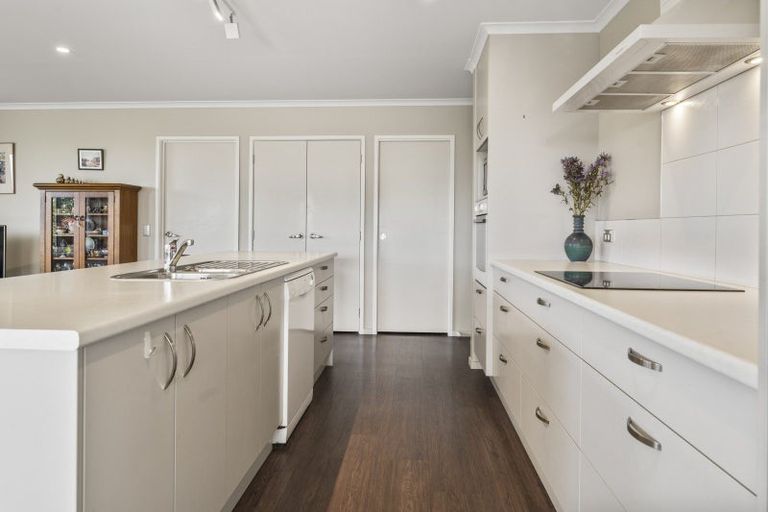 Photo of property in 77 Chelsea Avenue, Richmond, 7020