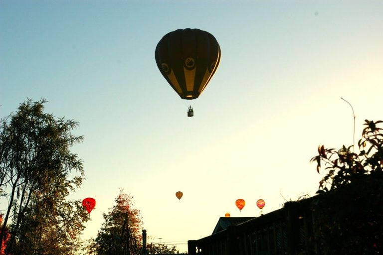 Photo of property in 29 Philip Street, Carterton, 5713