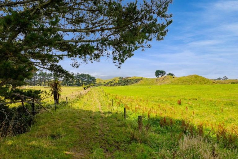 Photo of property in 955 Opua Road, Opunake, 4681