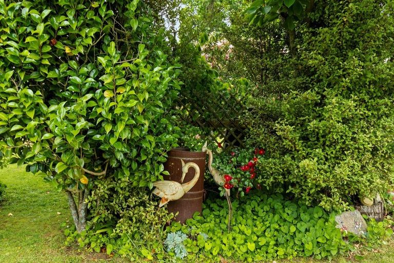 Photo of property in 62 Burwood Road, Matamata, 3400