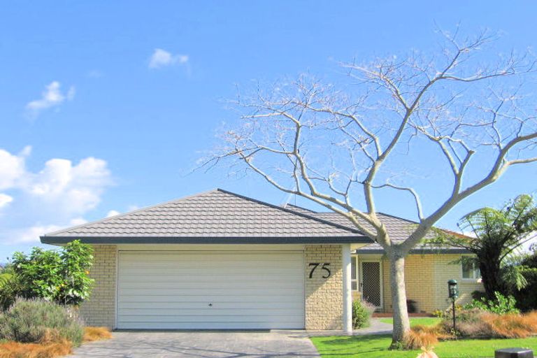 Photo of property in 75 Sapphire Drive, Hairini, Tauranga, 3112