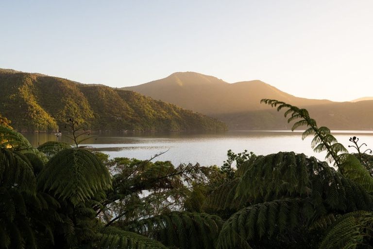 Photo of property in 3178 Blackwood Bay, Blackwood Bay, Marlborough Sounds, 7282