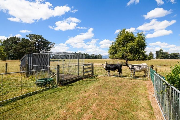 Photo of property in 17 Coulters Line, Kiwitea, Feilding, 4777