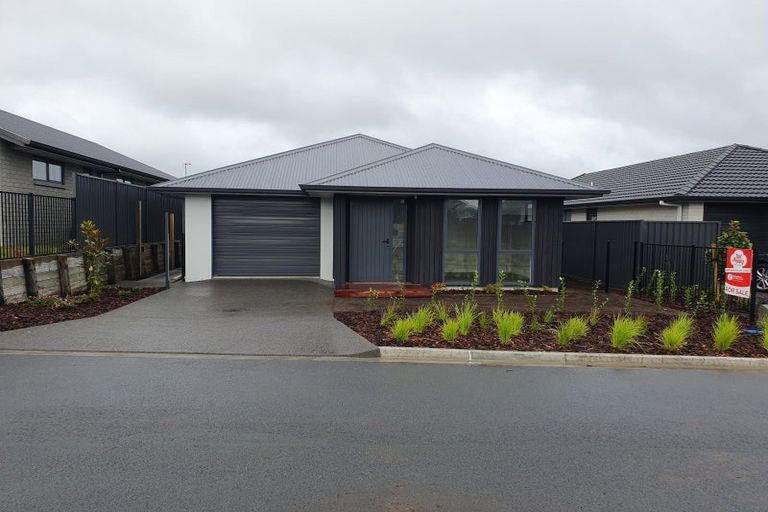 Photo of property in 10 Ash Lane, Omokoroa, 3114