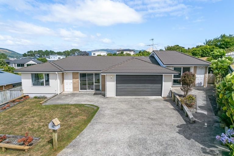 Photo of property in 103 Te Puia Drive, Aotea, Porirua, 5024