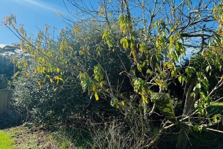 Photo of property in 66a Walker Road, Awanui, 0486