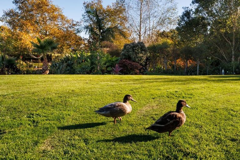 Photo of property in 849a Makerua Road, Tokomaru, Palmerston North, 4474