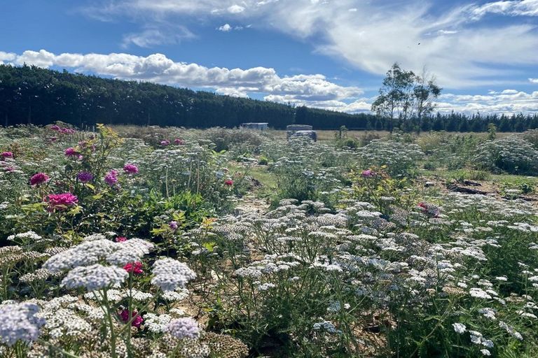 Photo of property in 320 Kiri Kiri Road, Burnt Hill, Oxford, 7495