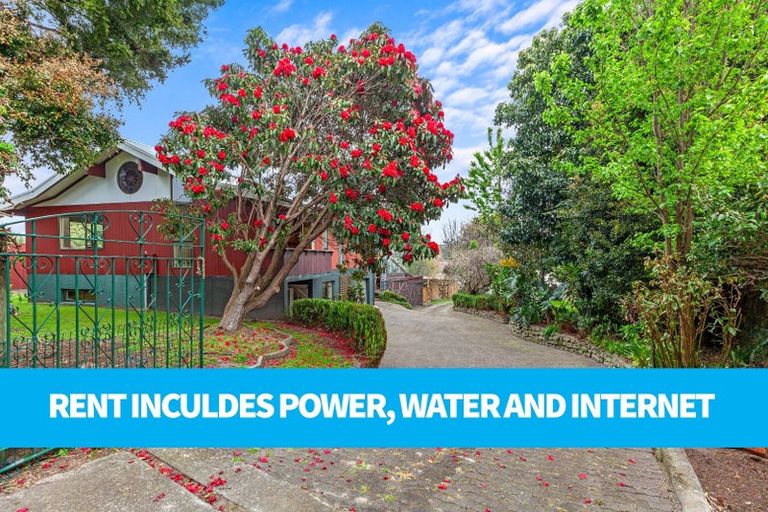 Photo of property in 145 Ohauiti Road, Hairini, Tauranga, 3112