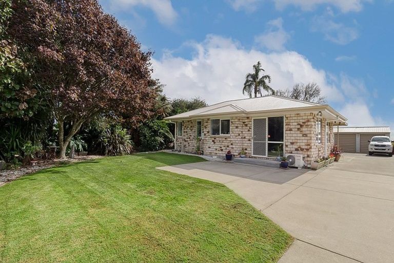 Photo of property in 1151 Matata Road, Edgecumbe, Whakatane, 3193