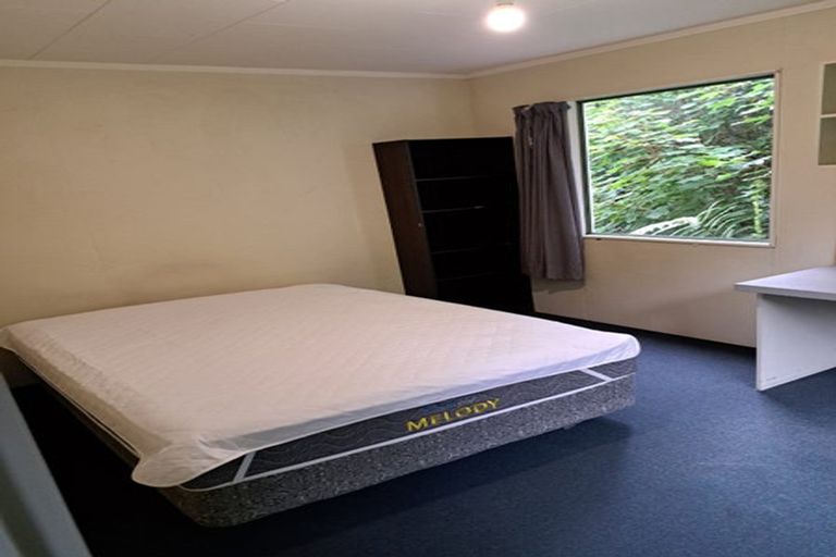 Photo of property in 63 Opoho Road, North East Valley, Dunedin, 9010