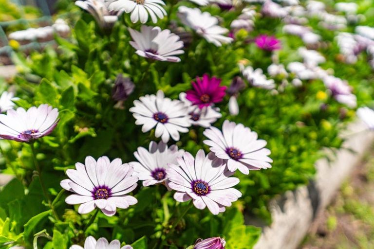 Photo of property in 16 Portland Terrace, Dargaville, 0310