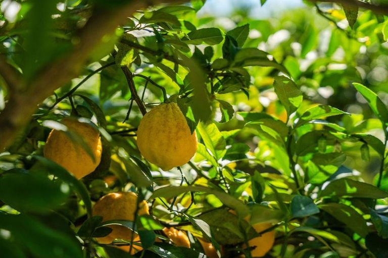 Photo of property in 26 The Circle, Nukuhau, Taupo, 3330