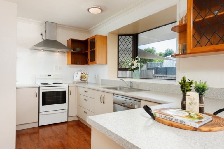 Photo of property in 17b Wiremu Street, Brookfield, Tauranga, 3110