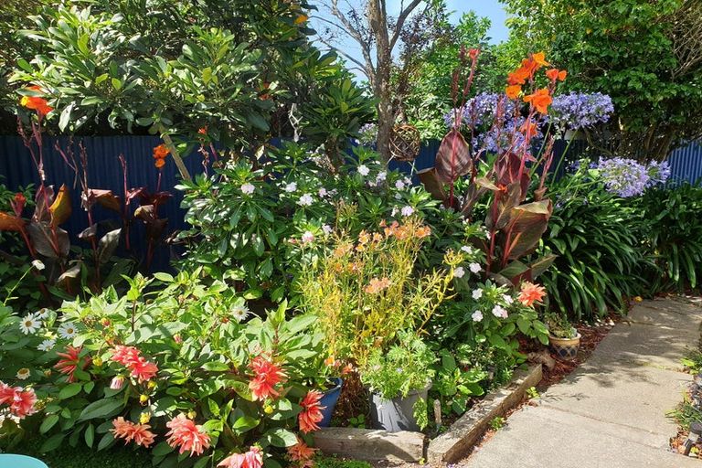 Photo of property in 5 Stafford Place, Awapuni, Palmerston North, 4412