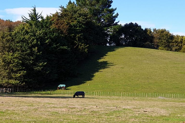 Photo of property in 164 Mount Herbert Road, Waipukurau, 4200