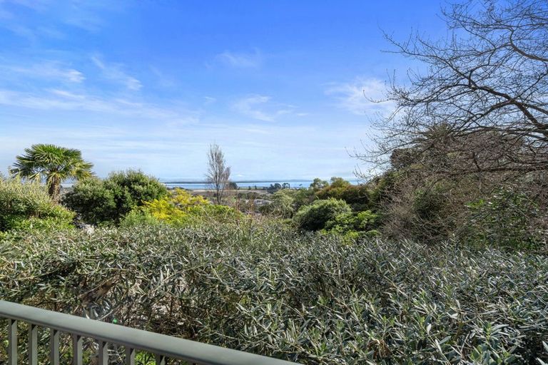 Photo of property in 52 Stansell Avenue, Tahunanui, Nelson, 7011