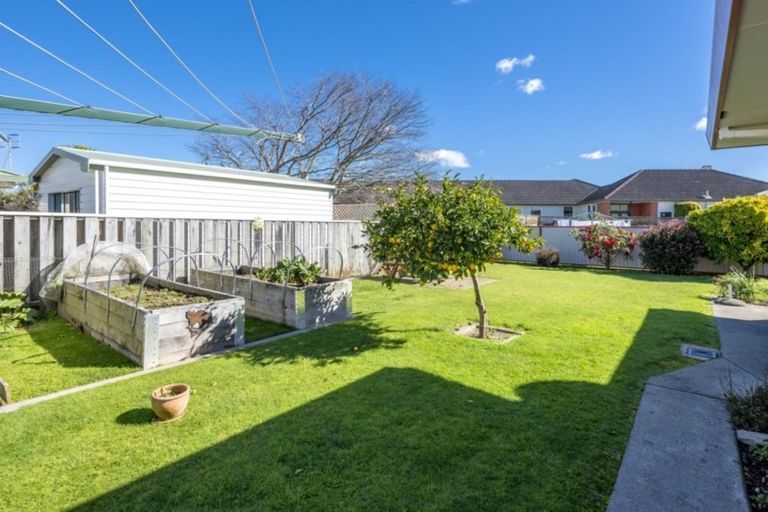 Photo of property in 176 Bath Street, Levin, 5510