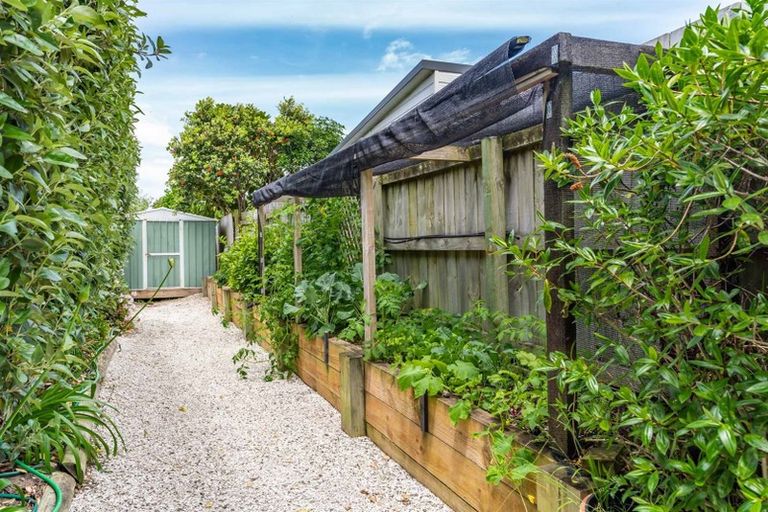 Photo of property in 12 Seabreeze Road, Mangawhai Heads, Mangawhai, 0505