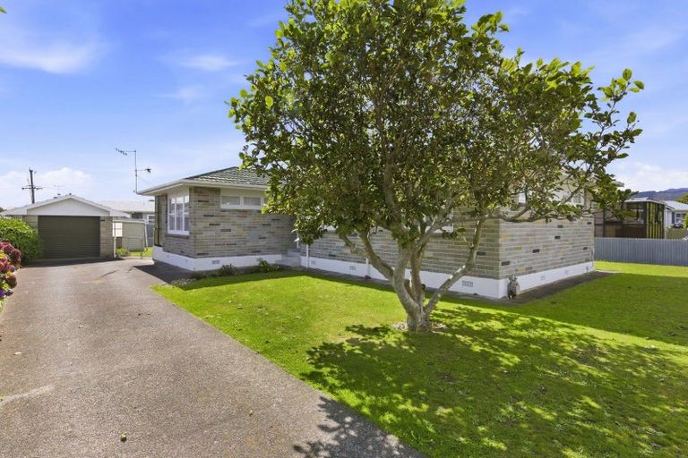 Photo of property in 3 Selwyn Street, Levin, 5510