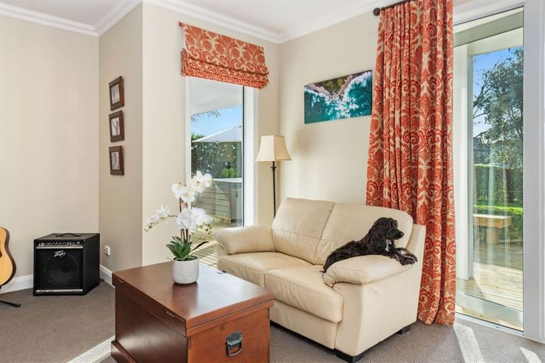 Photo of property in 137 Carmichael Road, Bethlehem, Tauranga, 3110