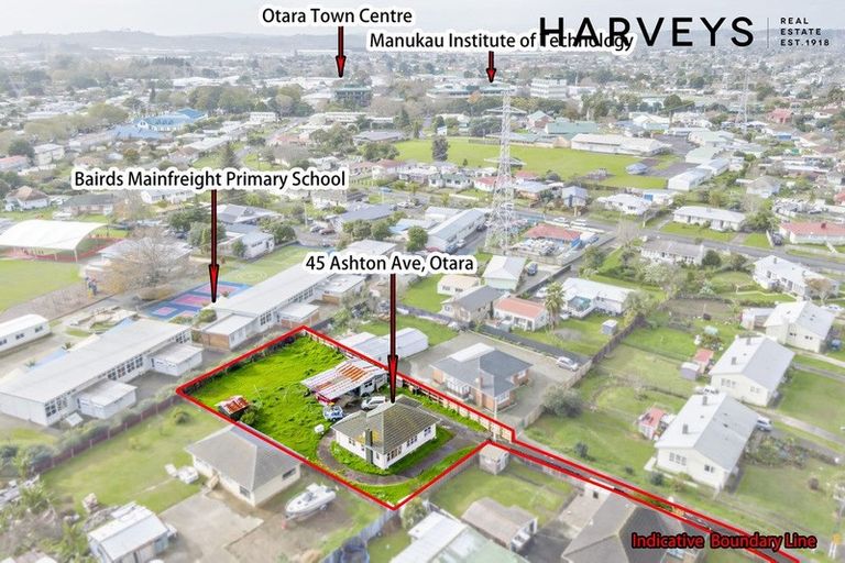 Photo of property in 45 Ashton Avenue, Otara, Auckland, 2023