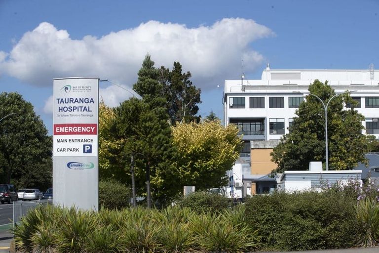 Photo of property in 3c Twentythird Avenue, Gate Pa, Tauranga, 3112