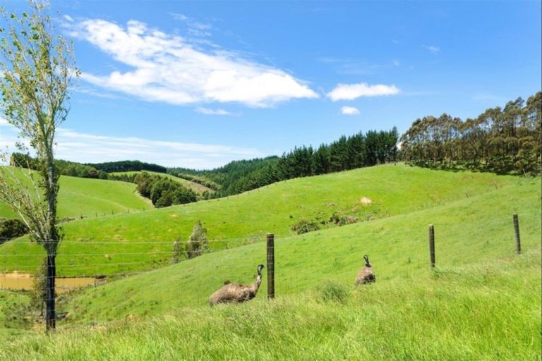 Photo of property in 1/22 Highland Park Drive, Highland Park, Auckland, 2010