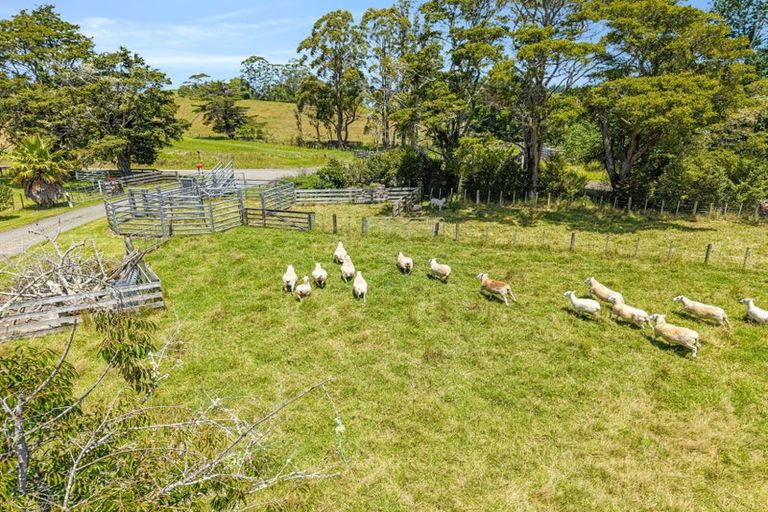 Photo of property in 710 Sommerville Road, Tangowahine, Dargaville, 0372