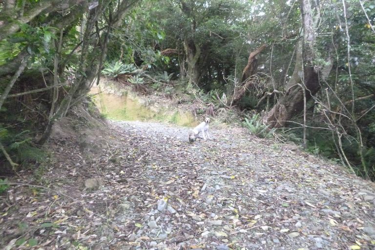 Photo of property in 26 Lookout Drive, Little Valley, Alexandra, 9320