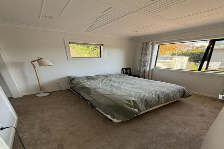 Photo of property in 17 Tyne Street, Roslyn, Dunedin, 9010