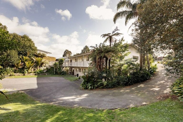 Photo of property in 1215 Cameron Road, Gate Pa, Tauranga, 3112