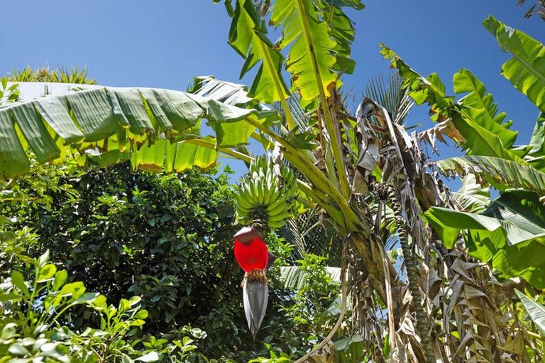 Photo of property in 347 Duncan Road, Kaingaroa, Kaitaia, 0482