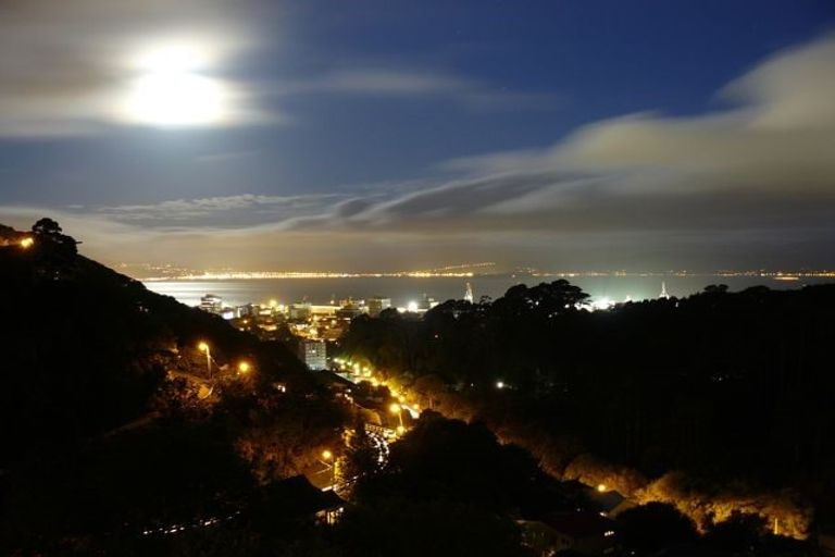 Photo of property in 45 Garden Road, Northland, Wellington, 6012