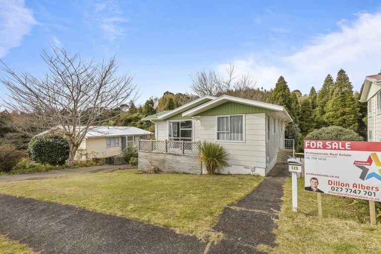 Photo of property in 125 Pembroke Street, Westown, New Plymouth, 4310