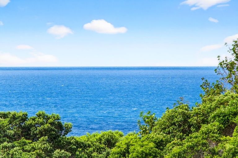 Photo of property in 42 Wonderview Road, Leigh, 0985