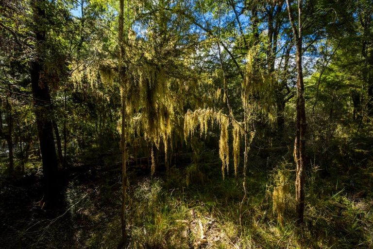 Photo of property in 101 Gowan Valley Road, Gowanbridge, Murchison, 7077