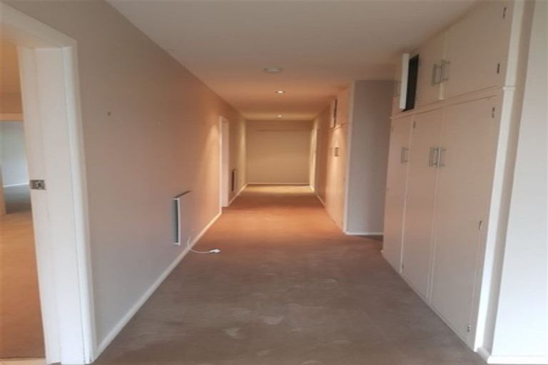 Photo of property in 7 Mcdougall Avenue, St Albans, Christchurch, 8014