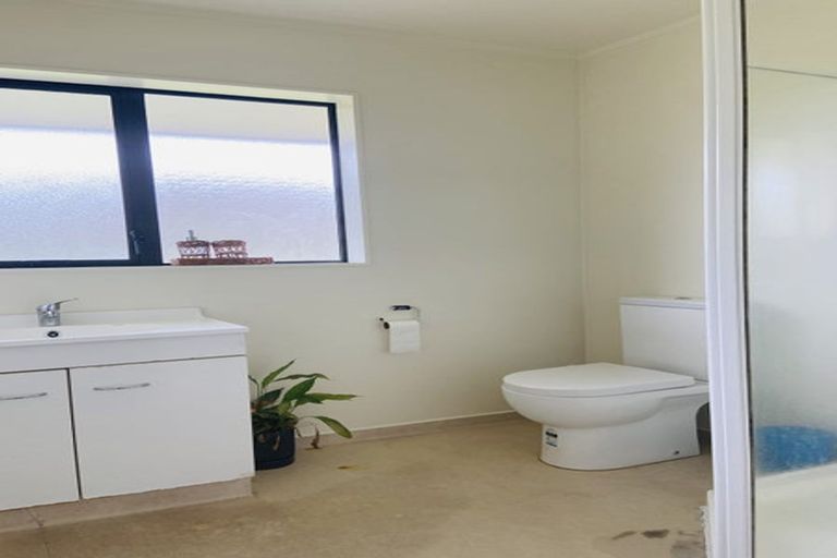 Photo of property in 55 Michael Jones Drive, Flat Bush, Auckland, 2019